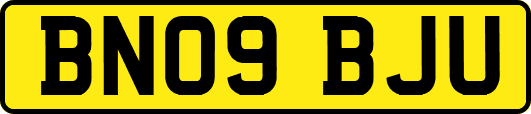 BN09BJU