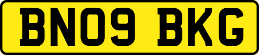 BN09BKG