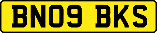 BN09BKS