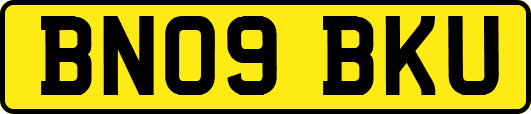 BN09BKU