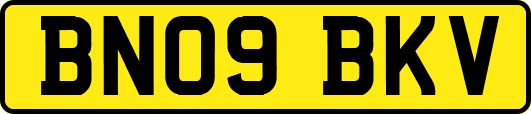 BN09BKV