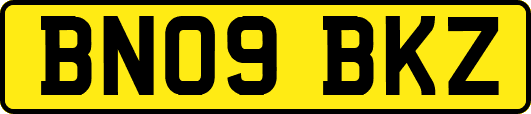 BN09BKZ
