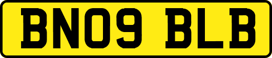 BN09BLB