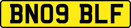 BN09BLF