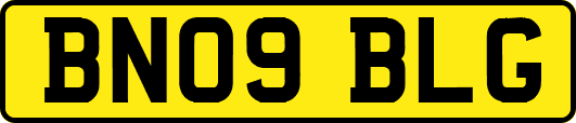 BN09BLG