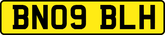 BN09BLH