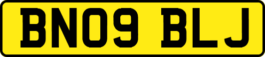 BN09BLJ