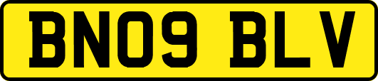 BN09BLV