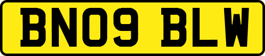 BN09BLW
