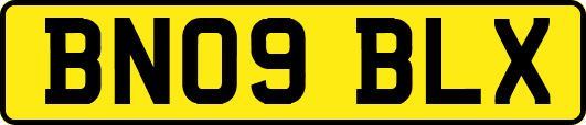 BN09BLX