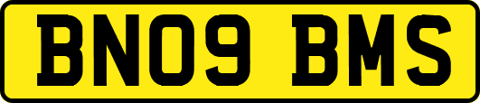 BN09BMS