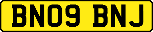 BN09BNJ