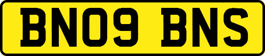 BN09BNS