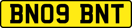 BN09BNT