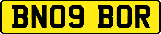 BN09BOR