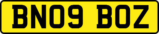 BN09BOZ
