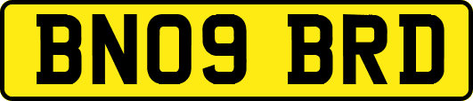 BN09BRD