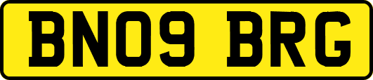 BN09BRG