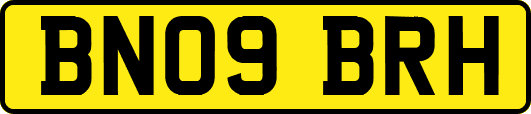BN09BRH