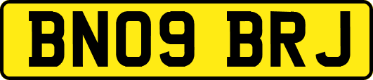 BN09BRJ