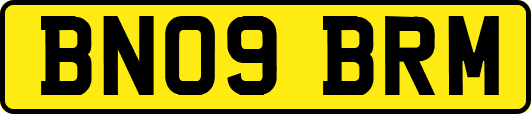 BN09BRM