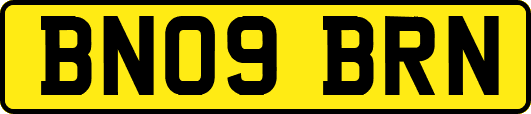 BN09BRN