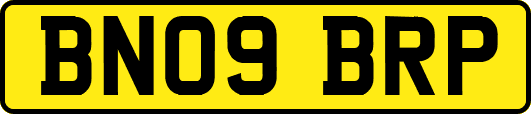 BN09BRP