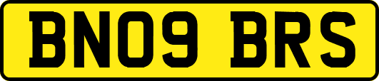BN09BRS