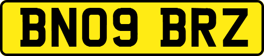 BN09BRZ