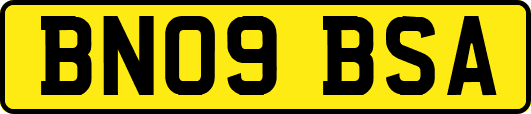 BN09BSA