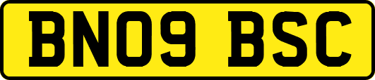 BN09BSC