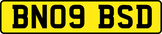 BN09BSD