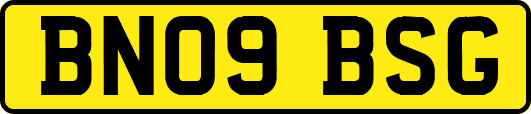 BN09BSG