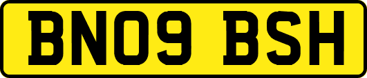 BN09BSH