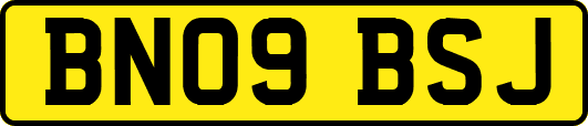 BN09BSJ