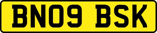 BN09BSK