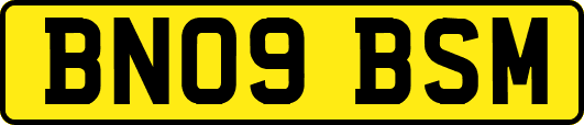 BN09BSM