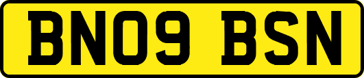 BN09BSN
