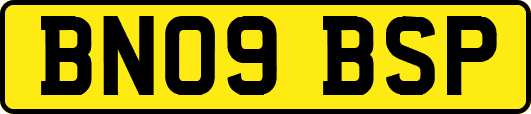 BN09BSP