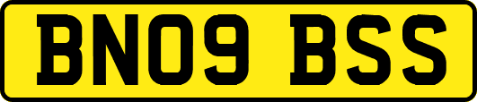 BN09BSS