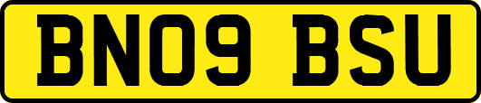 BN09BSU