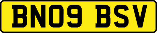 BN09BSV