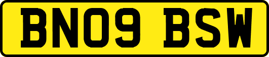 BN09BSW