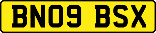 BN09BSX