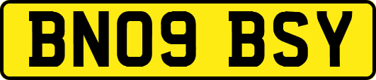 BN09BSY