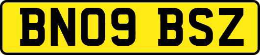 BN09BSZ