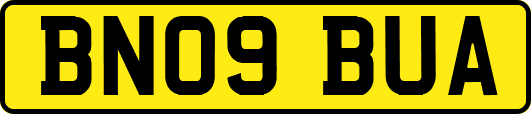 BN09BUA