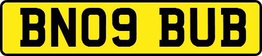 BN09BUB
