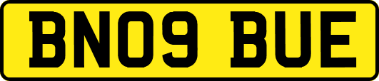 BN09BUE