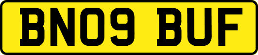 BN09BUF